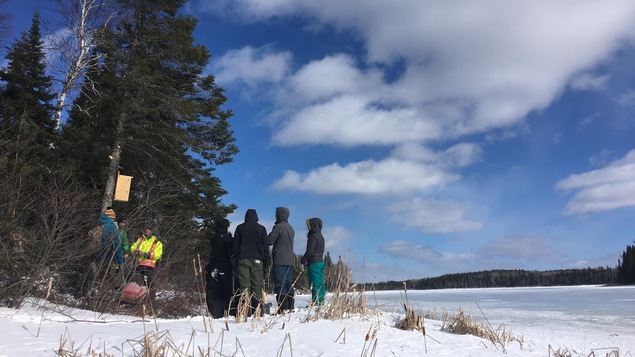Des élèves de Chapleau volent à la rescousse des canards cavernicoles - ICI.Radio-Canada.ca