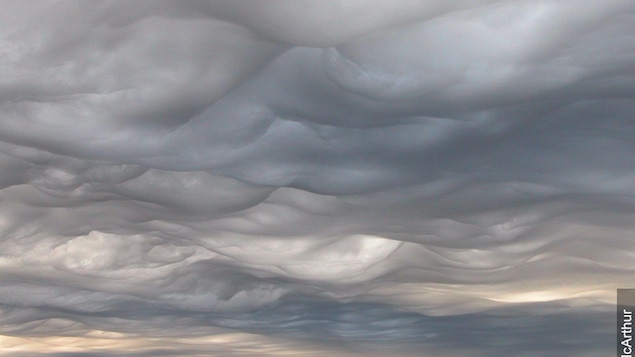 Résultat de recherche d'images pour "asperitas  nuage"