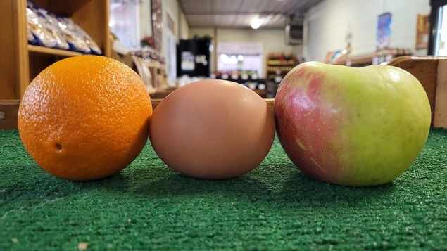 L'oeuf entre une orange et une pomme.