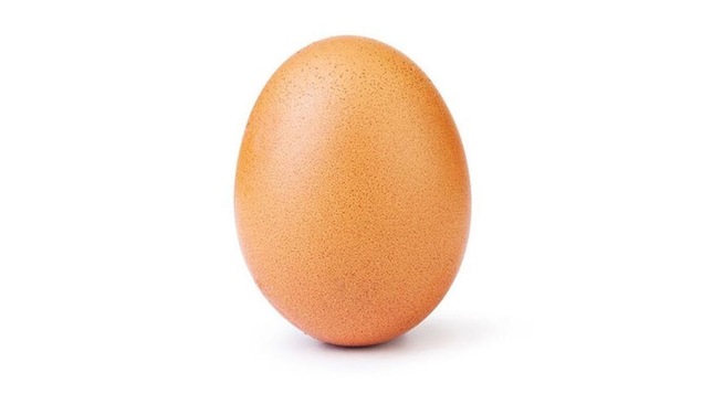 Une photo d'un oeuf brun, à la coquille légèrement orangée parsemée de petits points bruns.