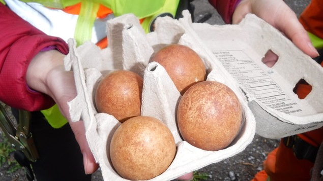Des œufs bruns tachetés dans une boite de carton.