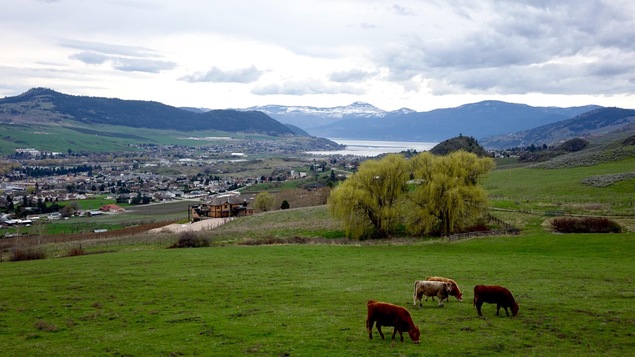 La vallée de l'Okanagan, vue de la ville de Vernon La vallée de l'Okanagan, vue de la ville de Vernon