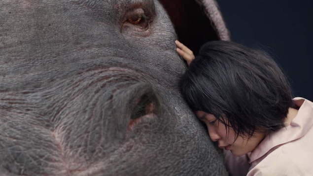 Une scène du film «Okja». Une scène du film «Okja».