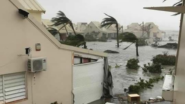Un quartier de l'île de Saint-Martin est envahi par les eaux et les débris, tandis que le vent souffle durement sur les palmiers. Un quartier de l'île de Saint-Martin est envahi par les eaux et les débris, tandis que le vent souffle durement sur les palmiers.