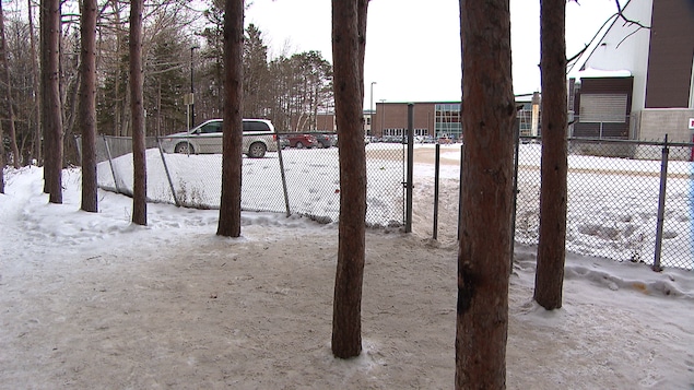 Un boisé et une bâtiment en arrière plan durant l'hiver.
