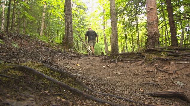 Au parc Fundy, des affiches et des indications guident les randonneurs le long de tous les sentiers. Au parc Fundy, des affiches et des indications guident les randonneurs le long de tous les sentiers.