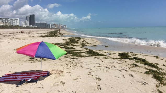 Une plage de la Floride, après le passage de l'ouragan Irma Une plage de la Floride, après le passage de l'ouragan Irma