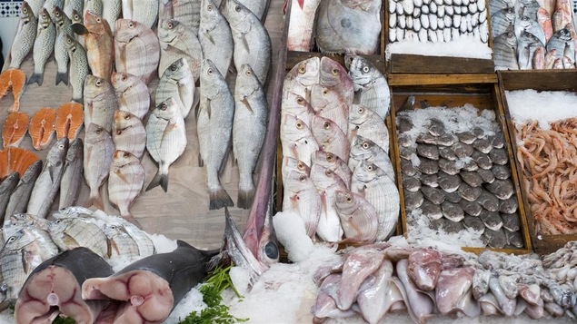 Des poissons et fruits de mer dans un présentoir au marché.