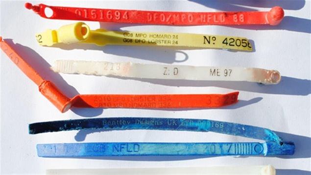 Des étiquettes en plastique Des étiquettes en plastique
