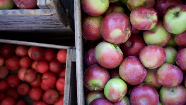 Gastronomie avec Lesley Chesterman : Tout sur les pommes