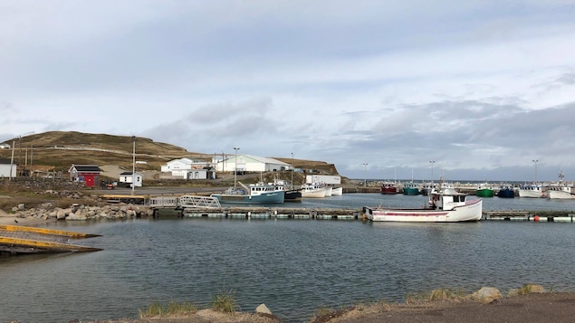 Le port de Grosse-Île.