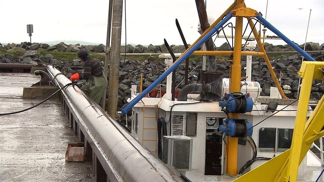 pêcheur qui débarque de son navire. Une trentaine de bâteaux de pêche utilisent chaque année les installations du quai