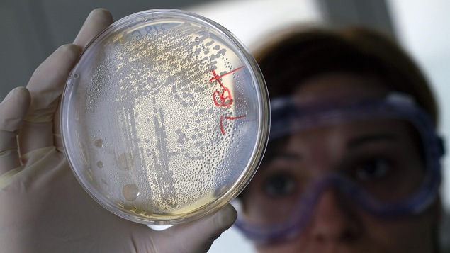 Photo d'une chercheuse en laboratoire Photo d'une chercheuse en laboratoire