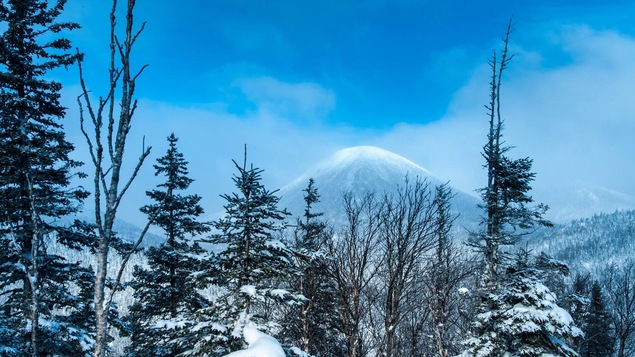 Un paysage de la réserve Matane. Tout au fond: le mont Coleman. Un paysage de la réserve Matane. Tout au fond: le mont Coleman.