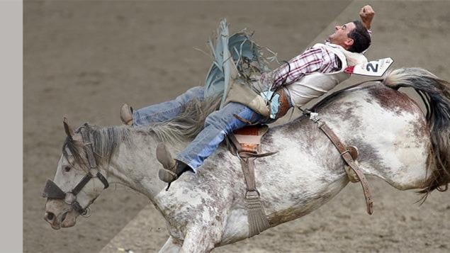 Un homme fait du rodéo sur un cheval
