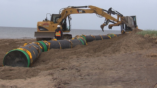 Le Rolodune, un dispositif expérimental pour freiner l'érosion des berges, est installé à Pointe-Lebel. Le Rolodune, un dispositif expérimental pour freiner l'érosion des berges, est installé à Pointe-Lebel.