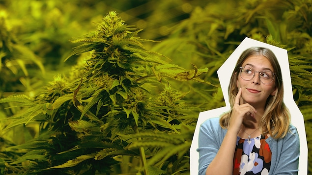 Rosalie Dumais-Beaulieu et une image de cannabis