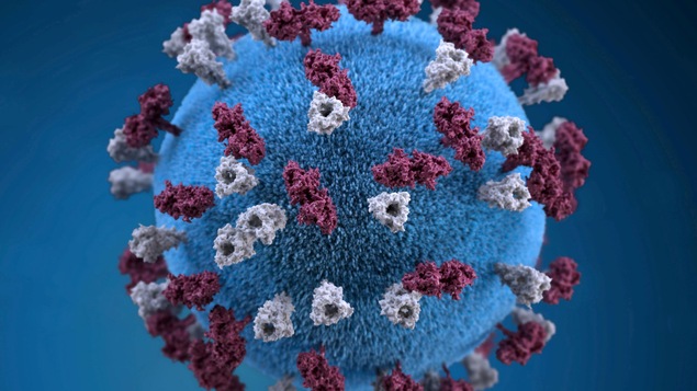 Illustration représentant une particule de virus de la rougeole et des glycoprotéines.