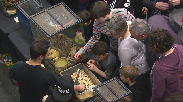 Des visiteurs regardent un lézard.