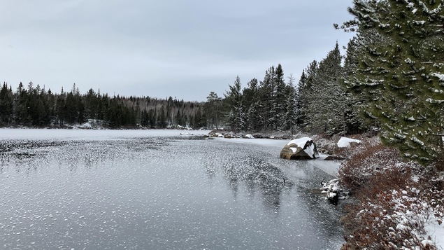 Un lac sur lequel ce sont formés des cristaux de glace après la neige.