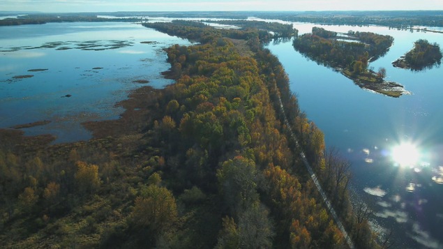 Image aérienne d'une pointe de terre entourée d'eau et de marais.