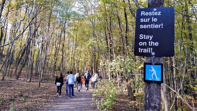 Des randonneurs dans le parc de la Gatineau, à l'automne. Sur une affiche, on peut lire : « Restez sur le sentier! »