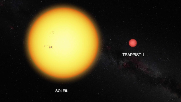 Représentation de la taille du Soleil et de l'étoile Trappist-1