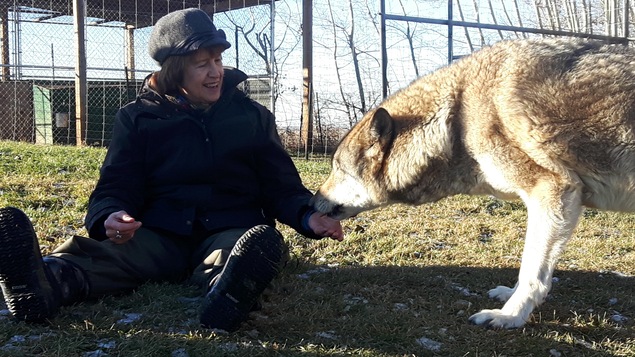 Une dame et un loup Une dame et un loup