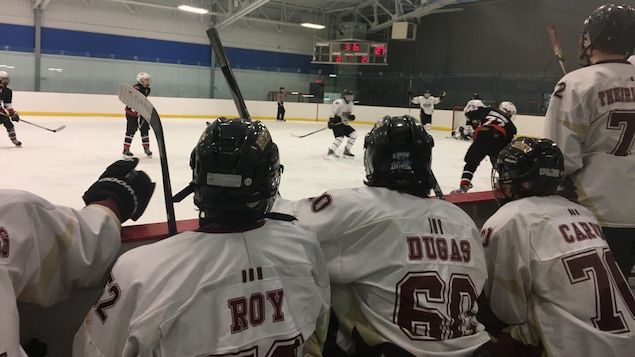 Joueurs de hockey sur un banc de dos.