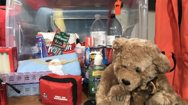 Trousse d'urgence contenant une peluche, du gel antibactérien, des boîtes de conserve et du papier toilette notamment.