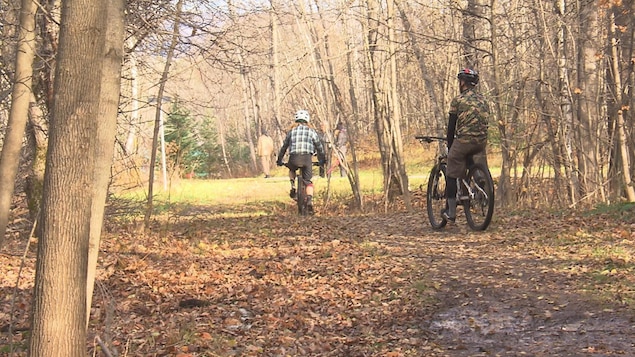 Des adeptes de vélo de montagne à Sherbrooke durant l'automne