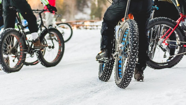 Des vélos à pneus surdimensionnés