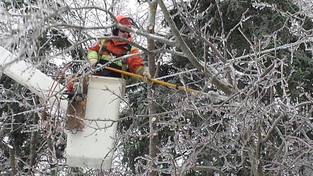 Un monteur de ligne coupe des branches tombées sur un fil électrique Un monteur de ligne coupe des branches tombées sur un fil électrique