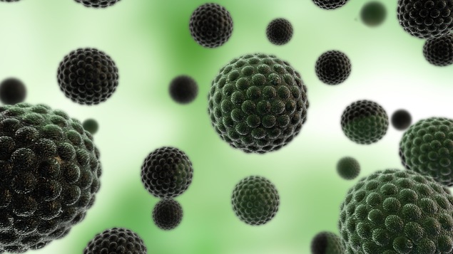 Des virus Des virus