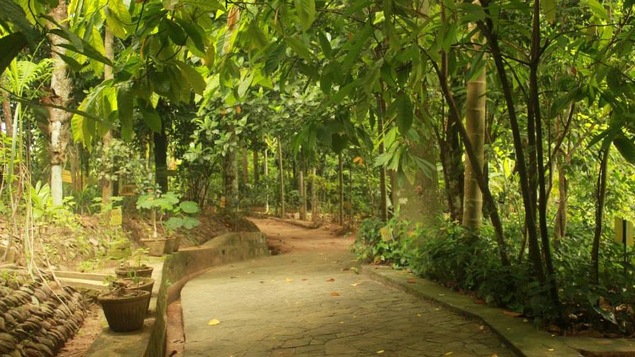 Un jardin botanique au Sri Lanka