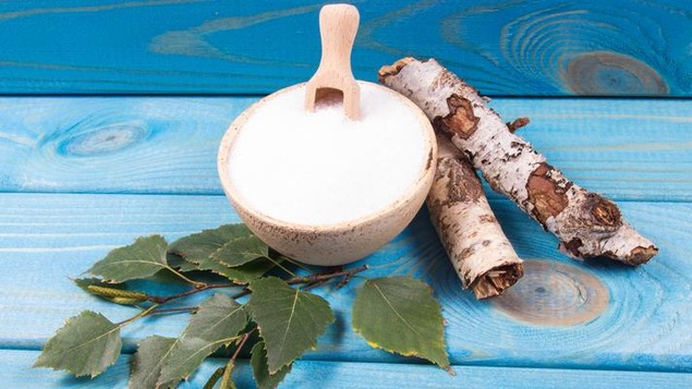 Du xylitol et une branche de bouleau.