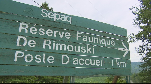 Réserve faunique de Rimouski et de la ZEC Bas-Saint-Laurent.