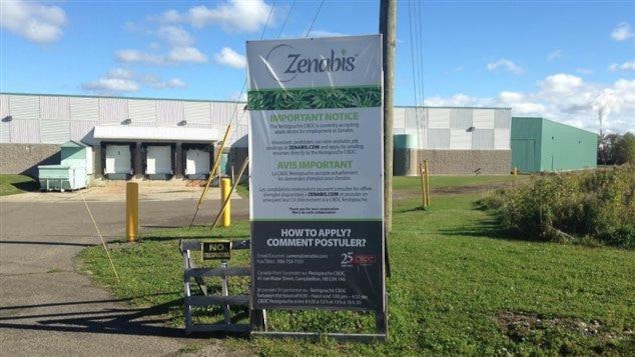 L'usine de Zenabis à Atholville