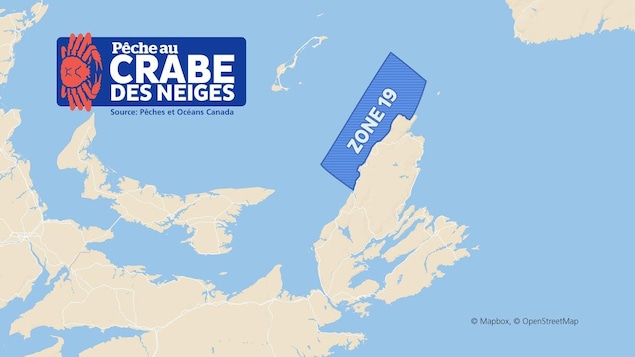 La zone de pêche 19 est située dans le golfe du Saint-Laurent, le long de la côte nord-ouest du Cap-Breton. Elle s'étend de la baie Saint-Laurent à Margaree. La zone de pêche 19 est située dans le golfe du Saint-Laurent, le long de la côte nord-ouest du Cap-Breton. Elle s'étend de la baie Saint-Laurent à Margaree.