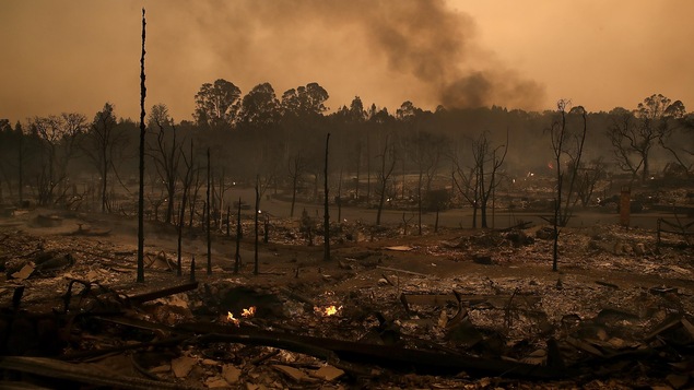 La Californie est ravagée par les feux de forêt.