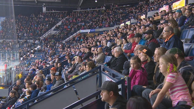 Des spectateurs attentifs qui regardent un match des Pats de Regina. Des spectateurs attentifs qui regardent un match des Pats de Regina.
