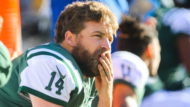 Ryan Fitzpatrick Ryan Fitzpatrick