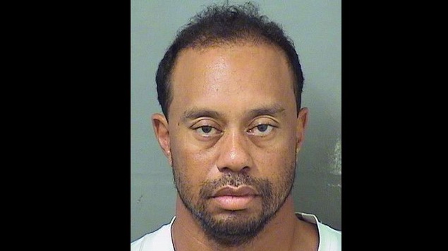 Photo d'identité judiciaire de Tiger Woods Photo d'identité judiciaire de Tiger Woods