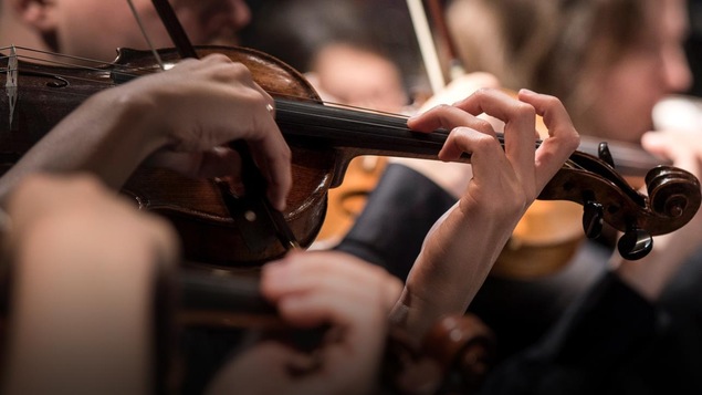 Des violonistes en action.