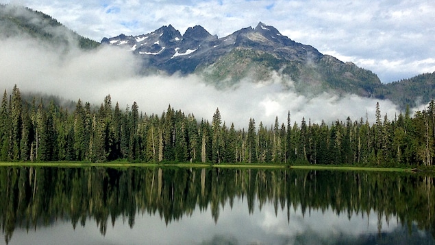 Lac et forêt de conifères devant les rocheuses canadiennes Lac et forêt de conifères devant les rocheuses canadiennes