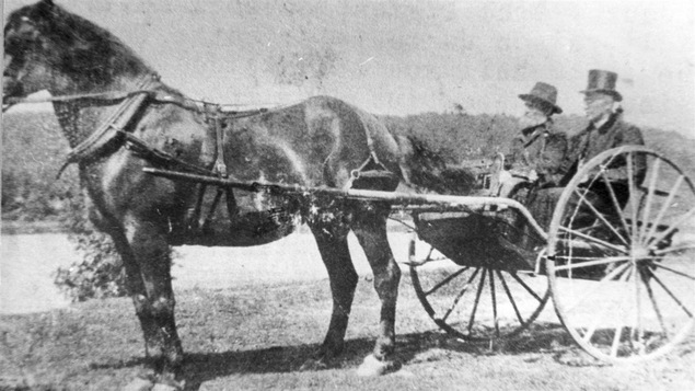 Une carriole tirée par un cheval canadien en 1887