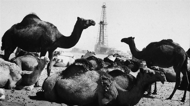 Un champs pétrolifère en Arabie saoudite dans les années 50