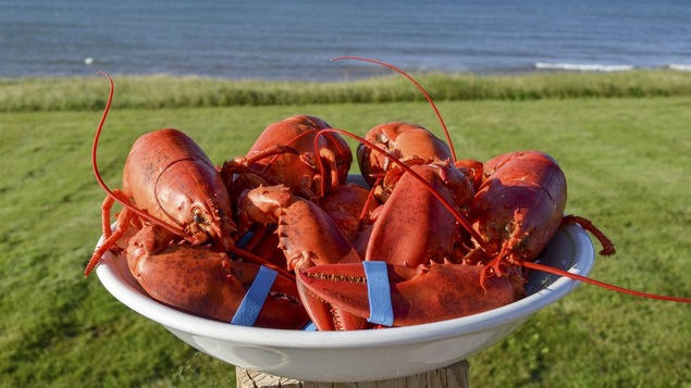 Le homard du Nouveau-Brunswick est meilleur que celui du Maine, selon Antonine Maillet.