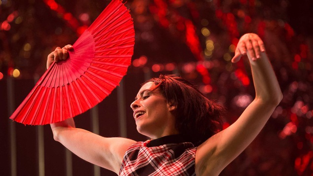 MAGNETIKAE un conte de flamenco hivernal