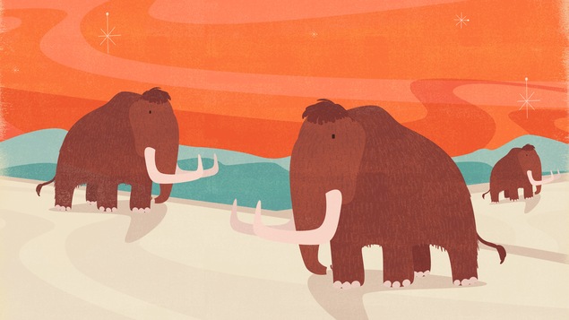 L'illustration montre trois mammouths parcourant un sol blanc. En arrière-plan, on voit une chaîne de montagnes.